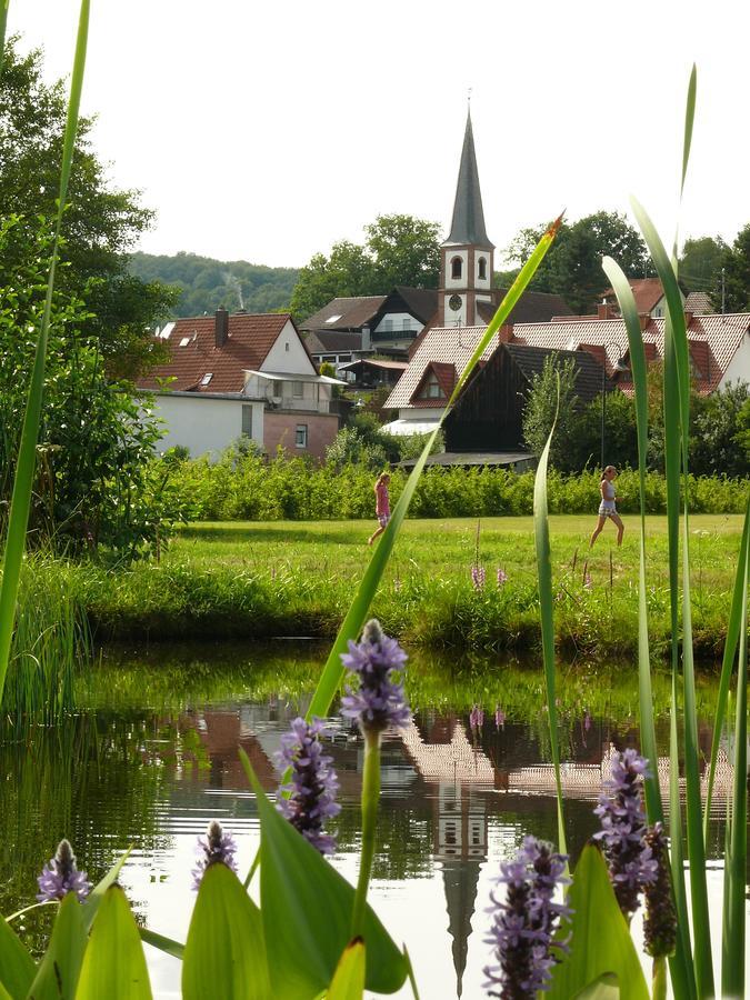 Hotel Blick Zum Maimont Ludwigswinkel Esterno foto