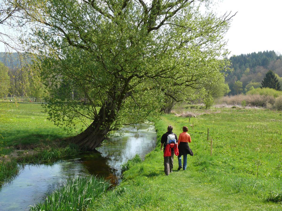 Hotel Blick Zum Maimont Ludwigswinkel Esterno foto
