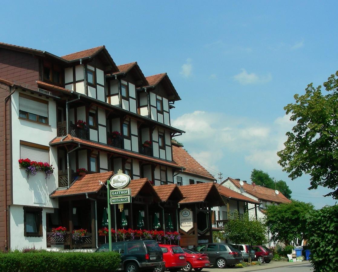 Hotel Blick Zum Maimont Ludwigswinkel Esterno foto