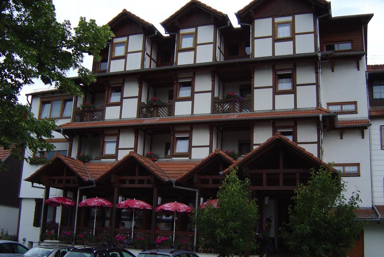 Hotel Blick Zum Maimont Ludwigswinkel Esterno foto