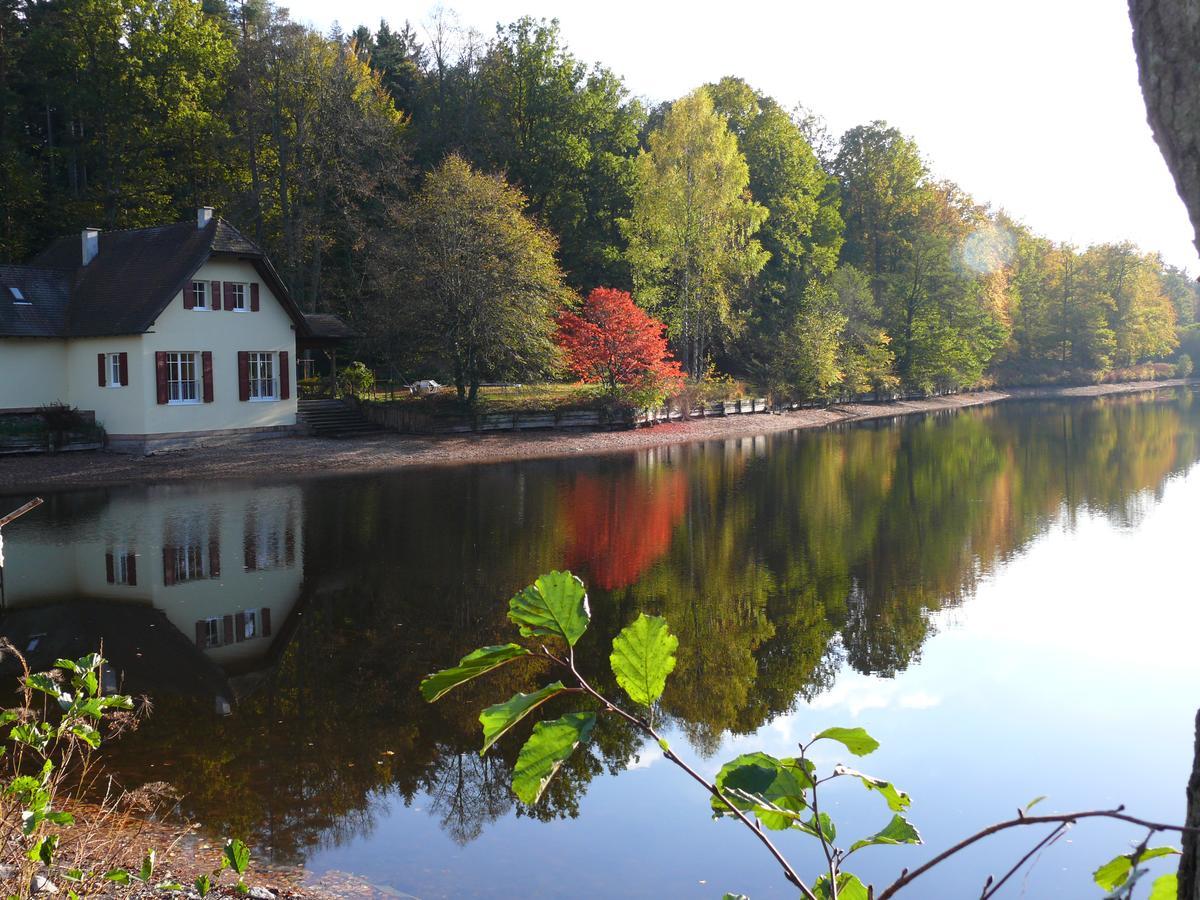 Hotel Blick Zum Maimont Ludwigswinkel Esterno foto