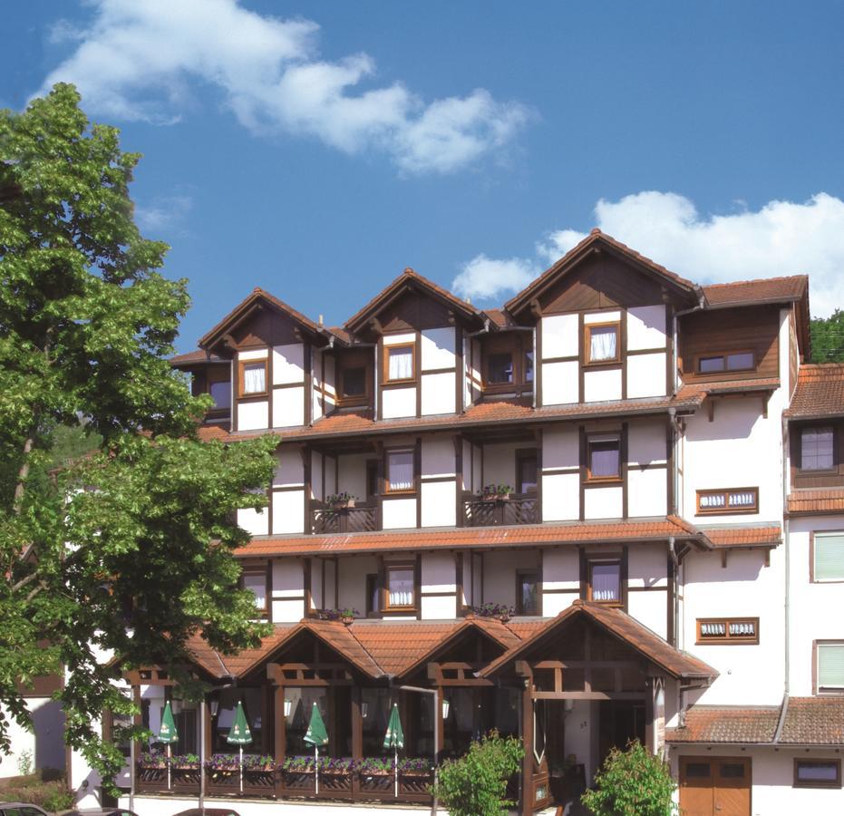 Hotel Blick Zum Maimont Ludwigswinkel Esterno foto