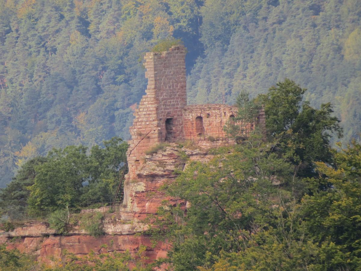 Hotel Blick Zum Maimont Ludwigswinkel Esterno foto